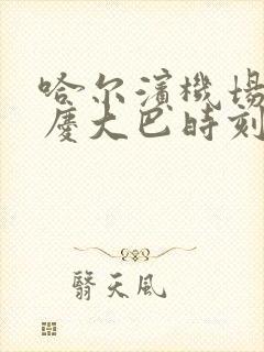 哈尔滨机场到大庆大巴时刻表2025最新