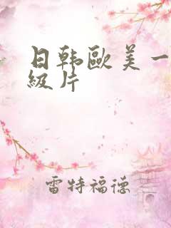 日韩欧美一级二级片