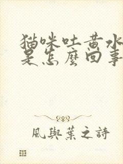 猫咪吐黄水猫粮是怎么回事