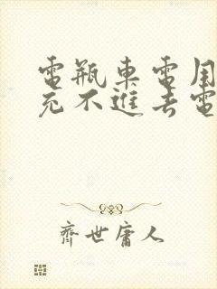 电瓶车电用完了充不进去电怎么回事