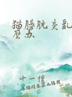 猫膀胱炎乱尿怎么办