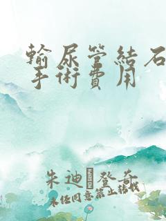 输尿管结石软镜手术费用