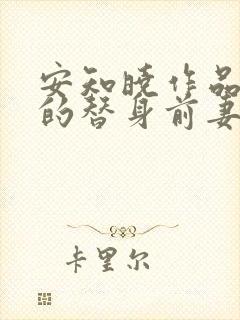 安知晓作品总裁的替身前妻