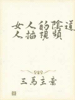 女人的阴道给男人插视频