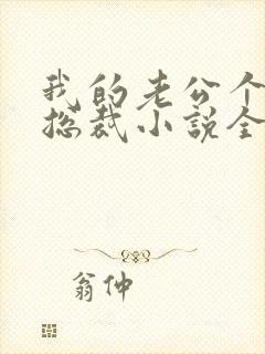 我的老公个个是总裁小说全文免费阅读