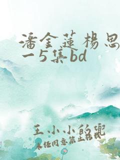 潘金莲杨思敏1一5集bd