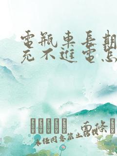 电瓶车长期不骑充不进电怎么办