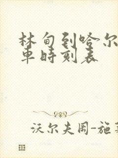 林甸到哈尔滨客车时刻表