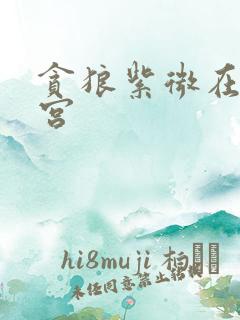 贪狼紫微在官禄宫