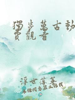 独步万古动漫免费观看