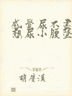 感觉尿不尽一直想尿小腹坠胀