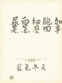 尿白细胞加减号是怎么回事