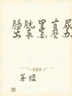 膀胱里有尿排不出来怎么办