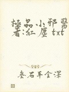 极品小邪医 作者:红尘 txt