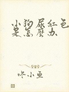 小狗尿红色的尿是怎么办