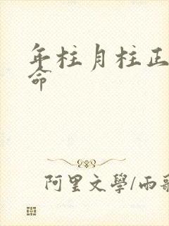 年柱月柱正财男命