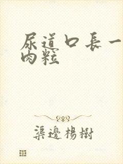 尿道口长一个小肉粒