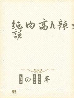 纯肉高h辣文小说