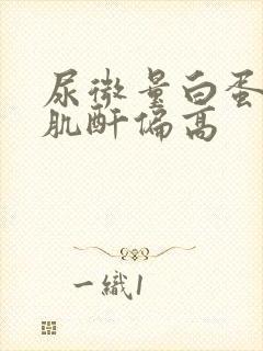 尿微量白蛋白尿肌酐偏高