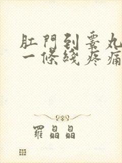 肛门到睾丸中间一条线疼痛