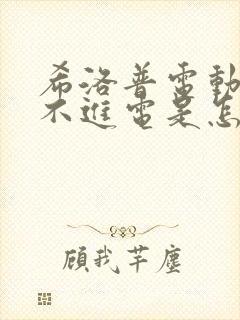 希洛普电动车充不进电是怎么回事