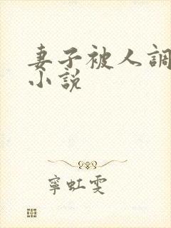 妻子被人调教h小说