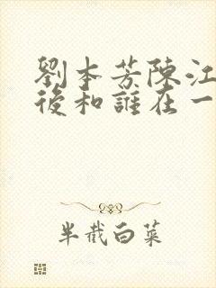 刘本芳陈江丽最后和谁在一起