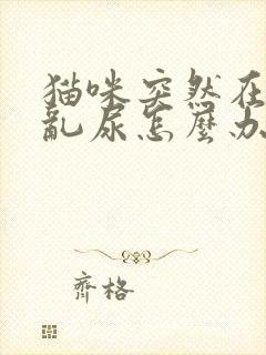 猫咪突然在家里乱尿怎么办