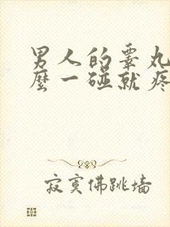 男人的睾丸为什么一碰就疼