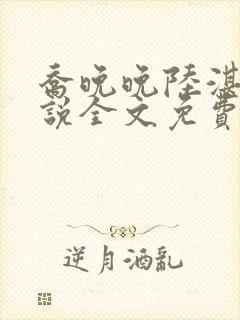 乔晚晚陆湛深小说全文免费阅读