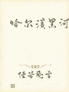 哈尔滨黑河客车