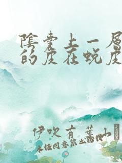 阴囊上一层薄薄的皮在蜕皮