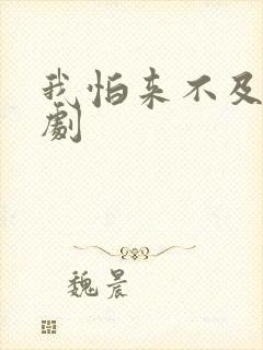 我怕来不及连续剧