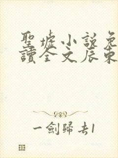 圣墟小说免费阅读全文辰东