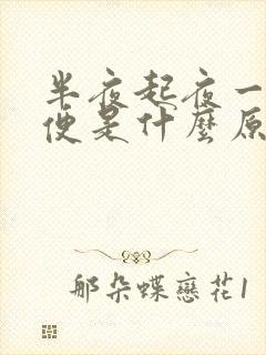 半夜起夜一次小便是什么原因