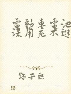 电动车电池半年没用充不进电怎么办