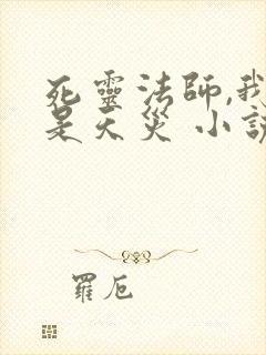 死灵法师,我即是天灾 小说