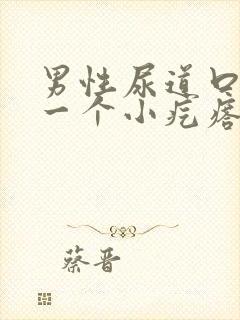 男性尿道口长了一个小疙瘩是怎么回事