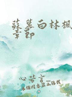 苏慕白林枫最新章节