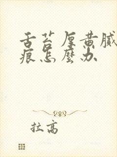 舌苔厚黄腻有齿痕怎么办