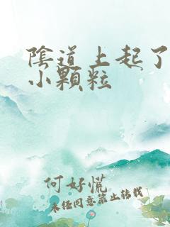 阴道上起了好多小颗粒