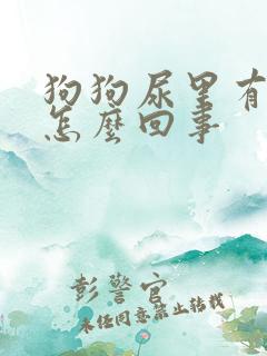 狗狗尿里有血块怎么回事