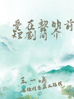 爱在黎明前升起短剧简介