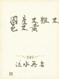 国产又粗又猛又色又黄