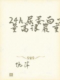 24h尿蛋白定量高很严重吗