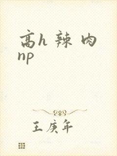 高h 辣 肉 np