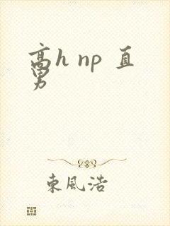 高h np 直男