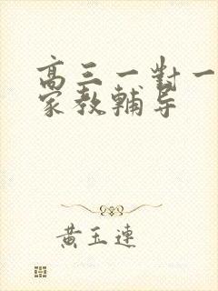 高三一对一上门家教辅导