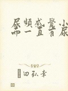 尿频感觉小腹下面一直有尿意