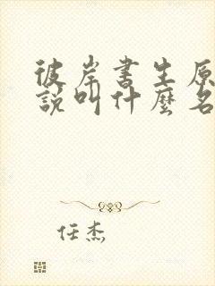 彼岸书生原著小说叫什么名字